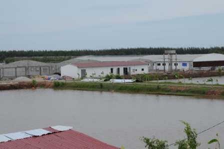 Kỷ niệm 50 năm ngày Bác về thăm Nam Cường - Tiền Hải Đổi thay trên mảnh đất “đẩy sóng ra xa, kéo chân trời gần lại”